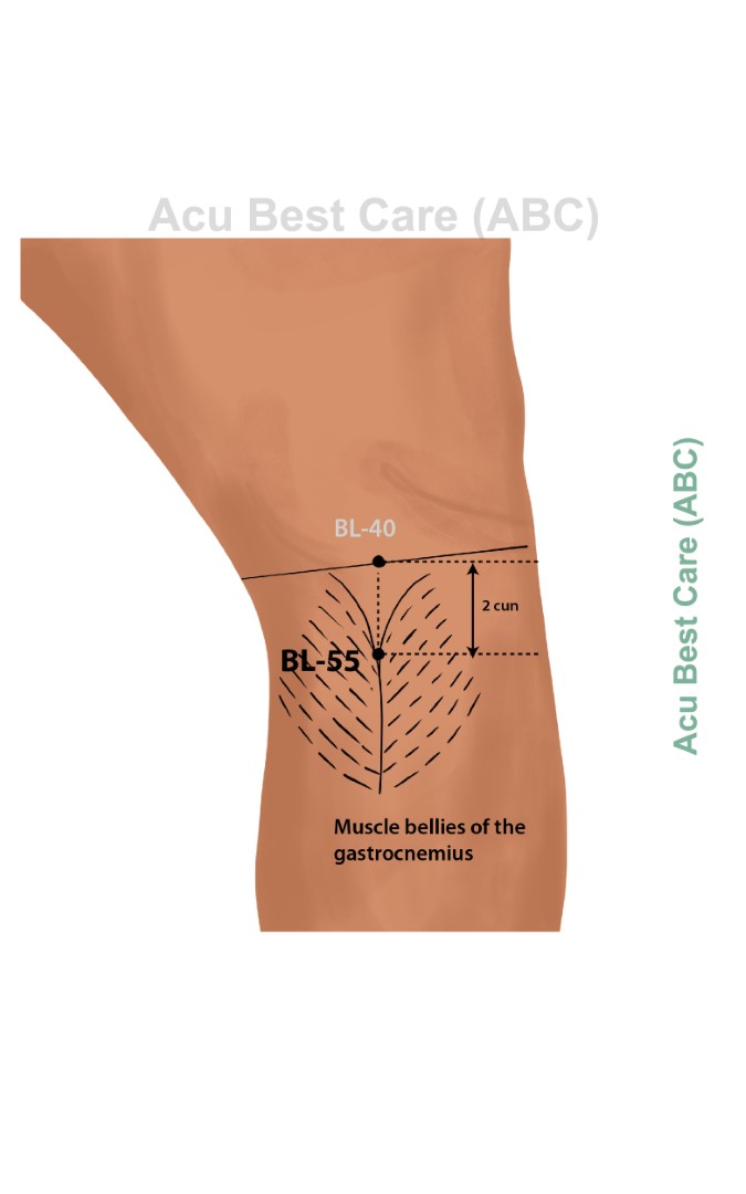 Acubestcare Meridian UB-55 or BL-55